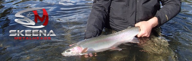 Skeena River Steelhead fly fishing British Columbia